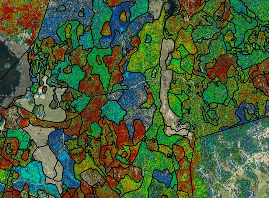 Forestry plans
